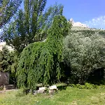 אכסניה Camino De Santiago *