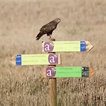 Camino De Santiago קסטרוחריס