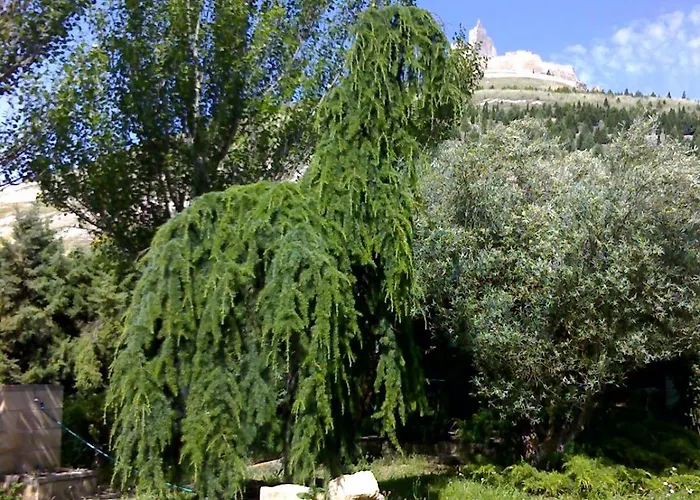 Hostel Camino De Santiago *