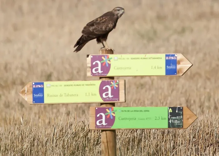 Camino De Santiago Castrojeriz