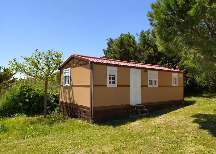 Camino De Santiago *